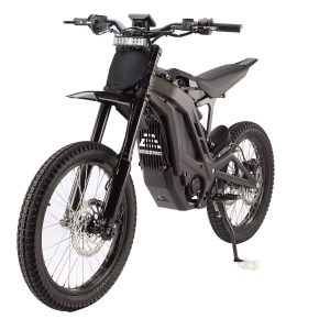 E Ride Pro Mini